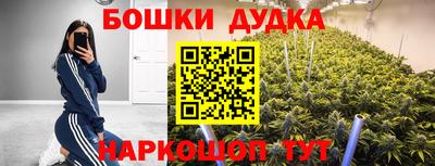 стаф Будённовск
