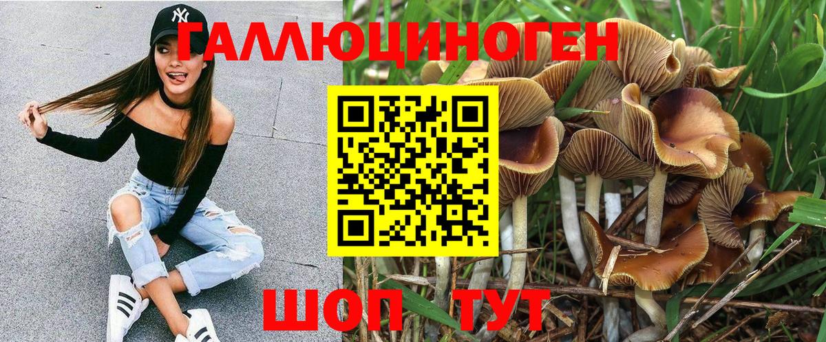 Галлюциногенные грибы Psilocybe Ревда