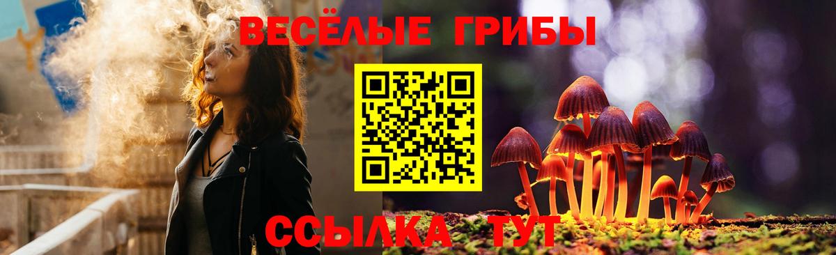 Ревда  Псилоцибиновые грибы MAGIC MUSHROOMS  Вход с VPN 
